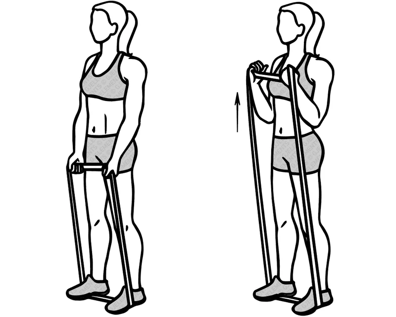 Exercice curls avec bande élastique de musculation