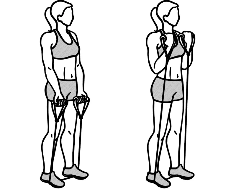 Exercice curls avec tube élastique de musculation