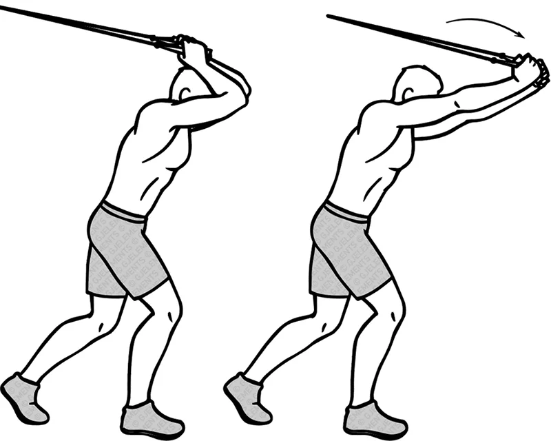 Exercice tricep extensions avec tube élastique de musculation