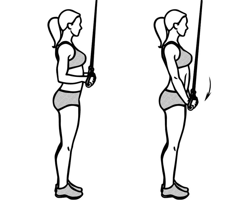 Exercice tricep pushdowns avec tube élastique de musculation
