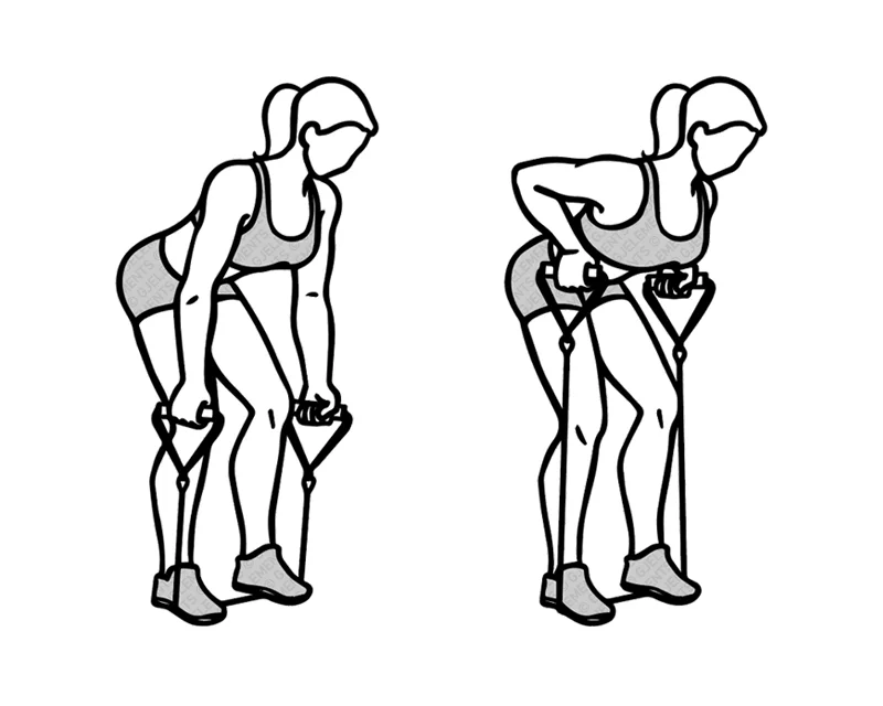 Exercice bent-over-rows avec tube élastique de musculation