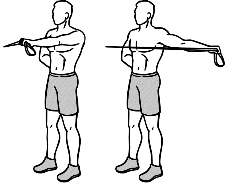 Exercice rear-delt rows avec bande élastique de musculation
