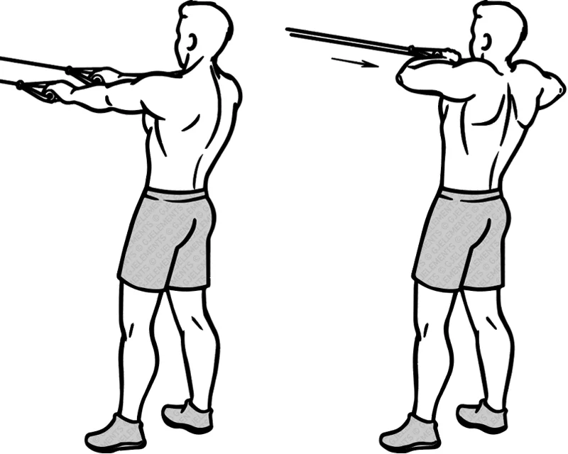 Exercice rear-delt-rows avec tube élastique de musculation