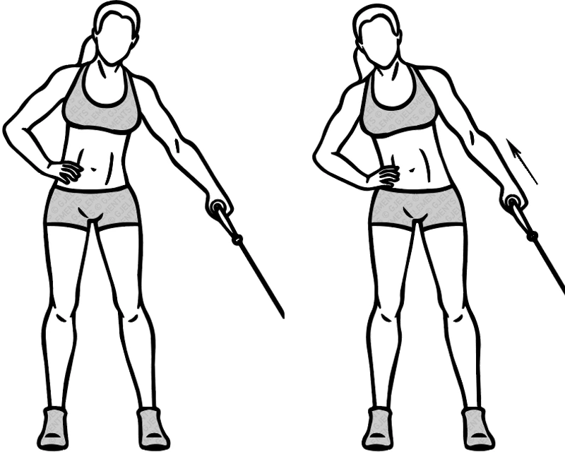 Exercice abdos side bends avec tube élastique de musculation